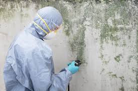 Why You Should Choose Our Mold Remediation Services in Jackson Center, OH